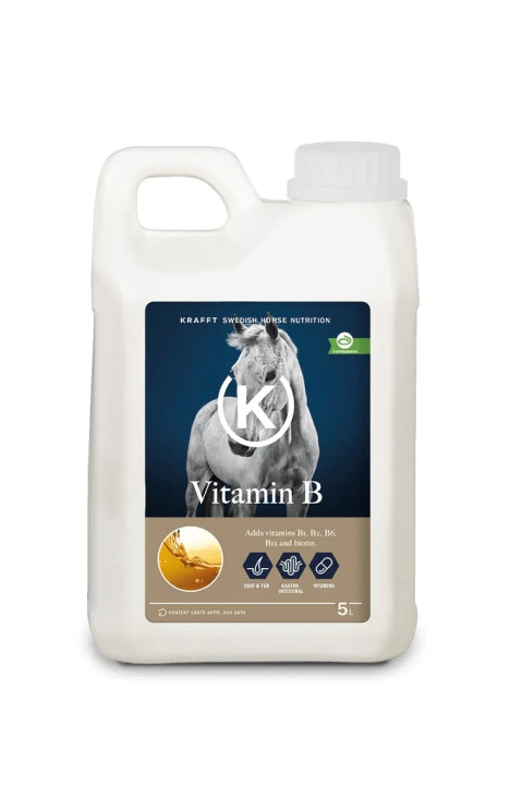 KRAFFT Vitamin B Liquid 5L