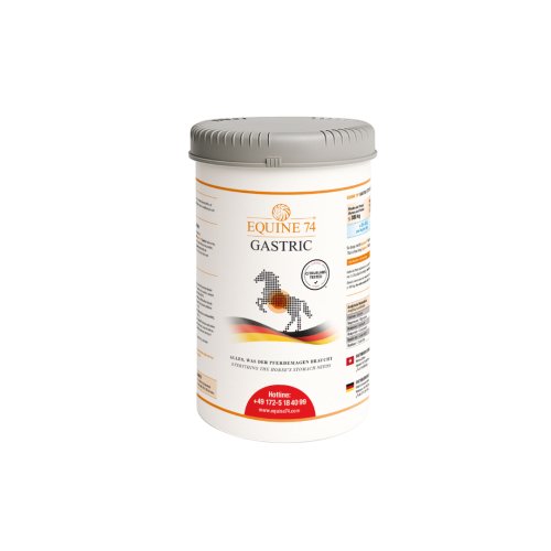Equine 74 Gastric 2kg