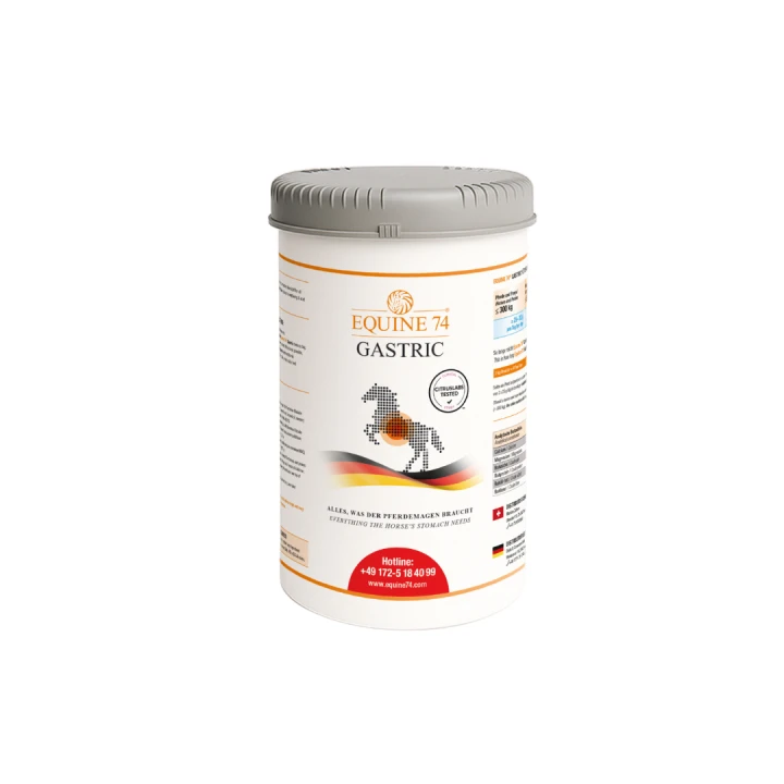 Equine 74 Gastric 2kg