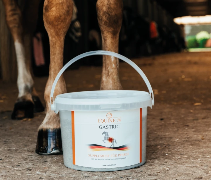 Equine 74 Gastric 20kg