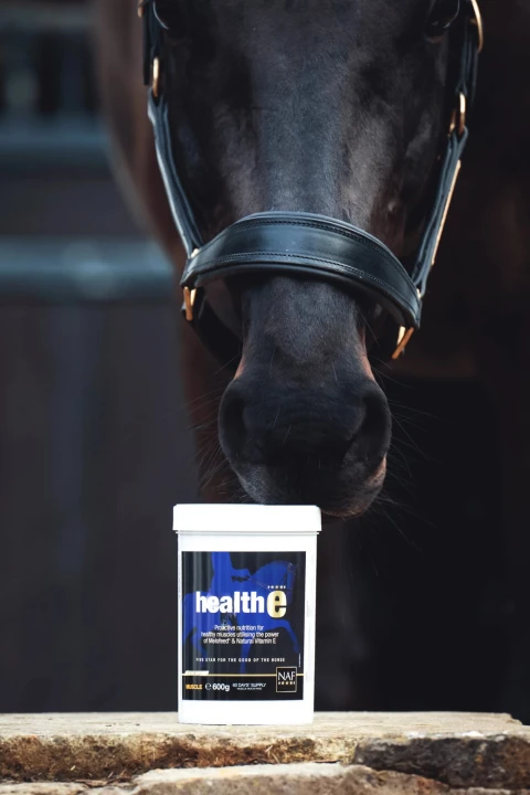 NAF HealthE 600g