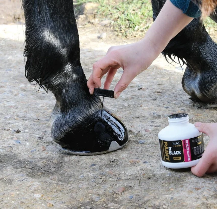 NAF Paint it Black 250ml