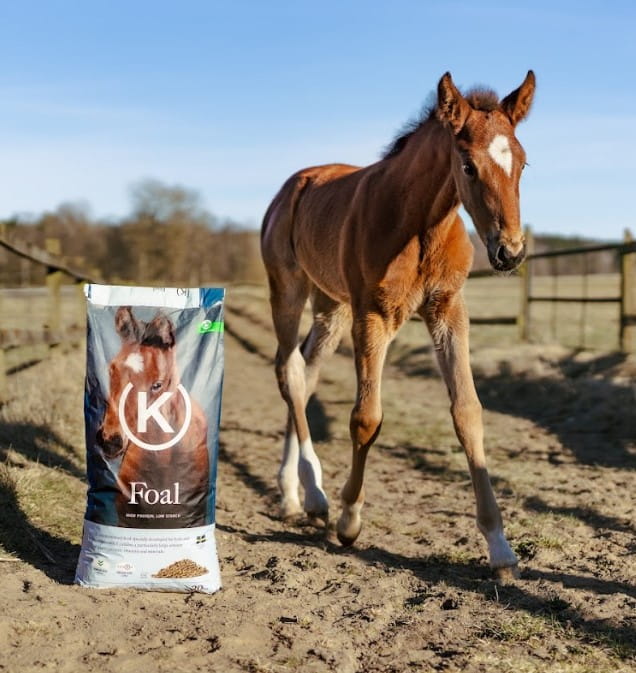 KRAFFT Foal 20kg