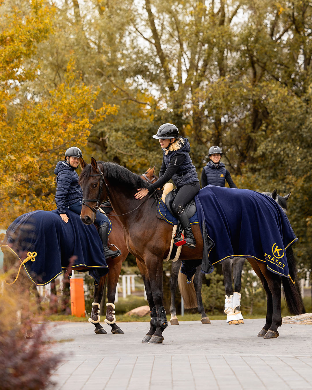 12 najważniejszych efektów prawidłowej pracy jelit u konia