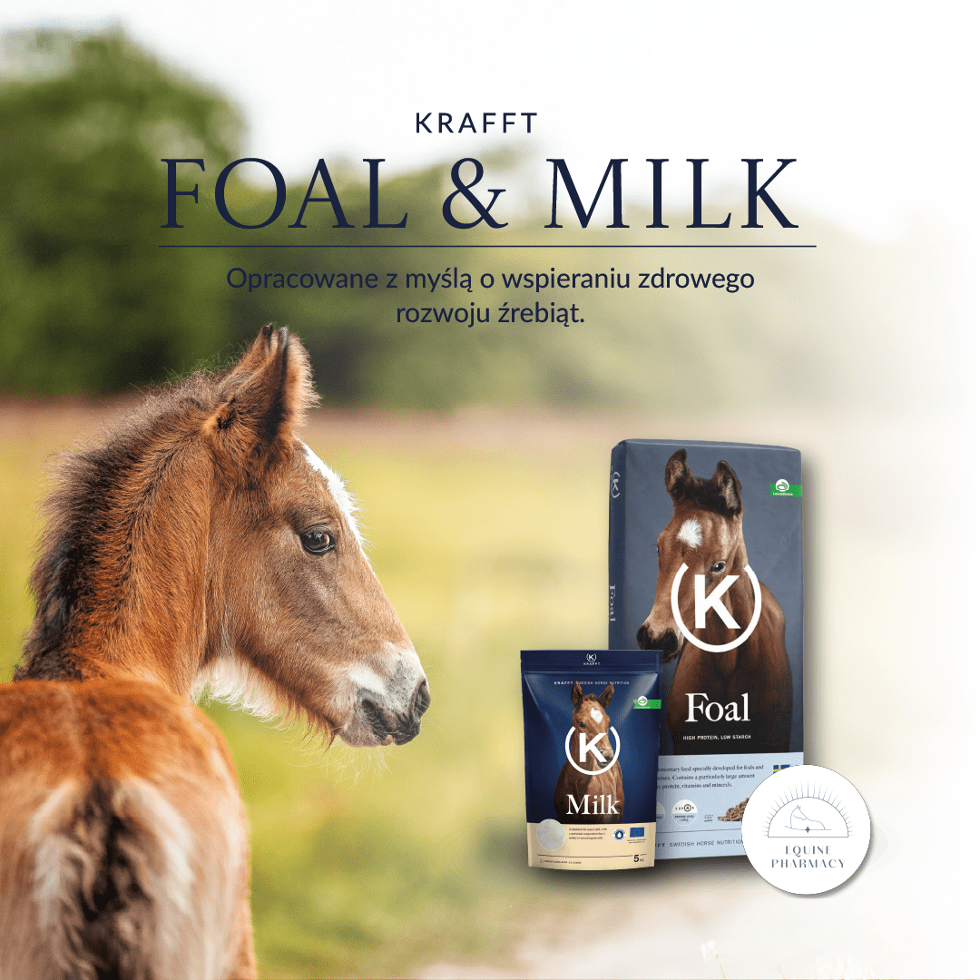 Wpływ żywienia na zdrowie i rozwój źrebiąt